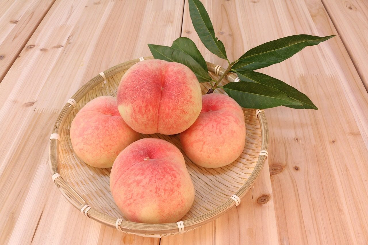 peach, ecliptic, sunshine peach, korean peach, peach, peach, peach, peach, peach