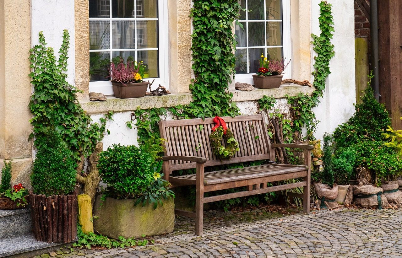 bench, facade, garden, ivy, architecture, building, nature, front yard, house